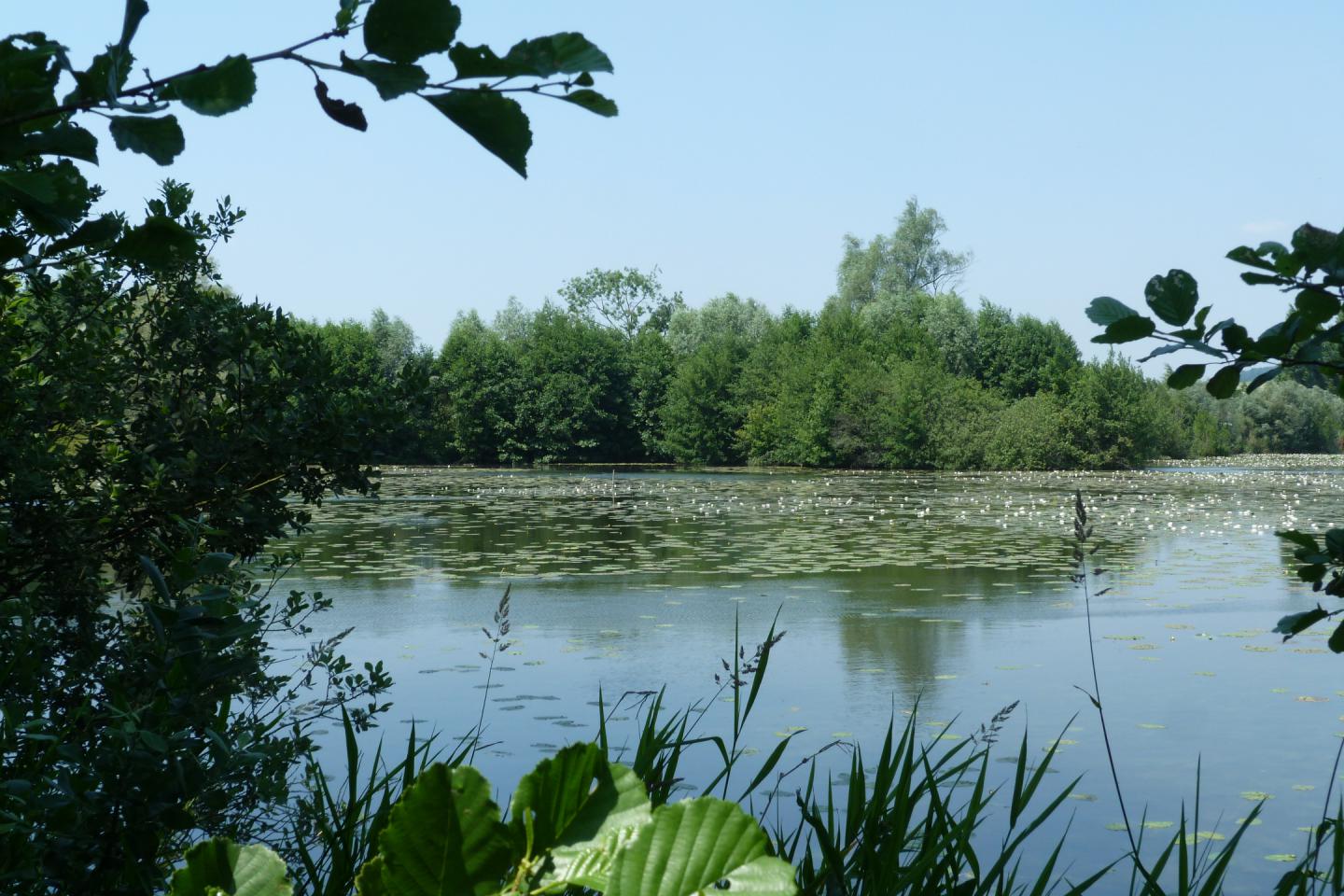 Un des étangs de Long